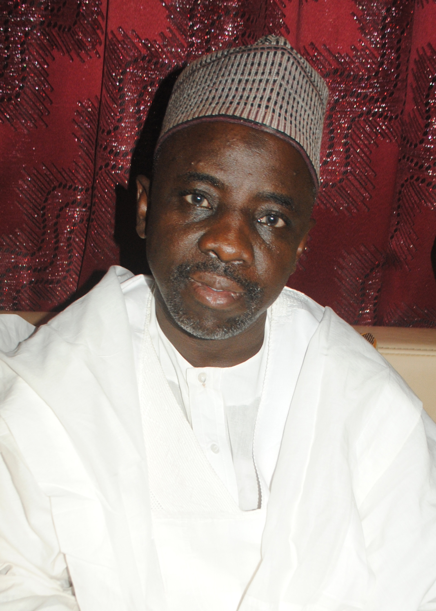 IIS committe vice chairman